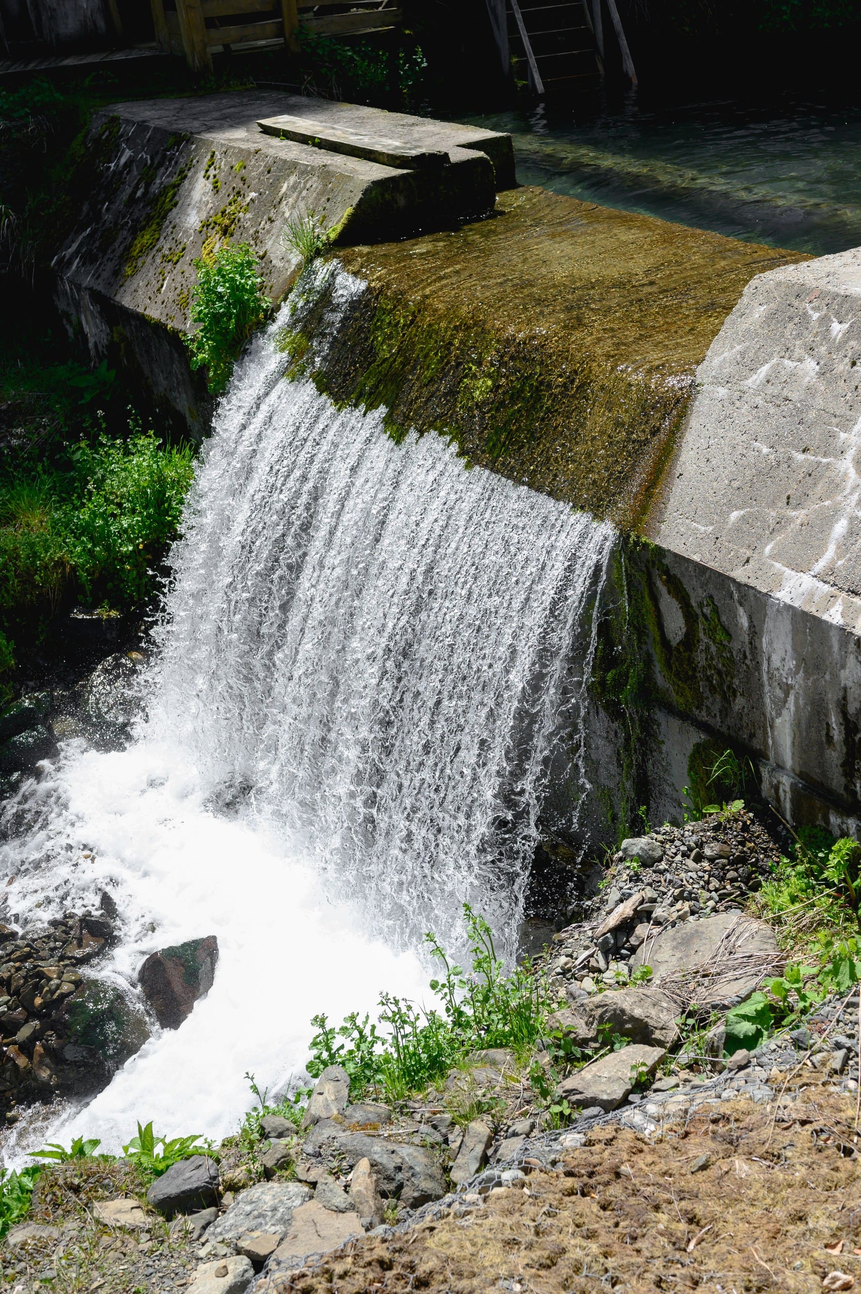 Царская баня